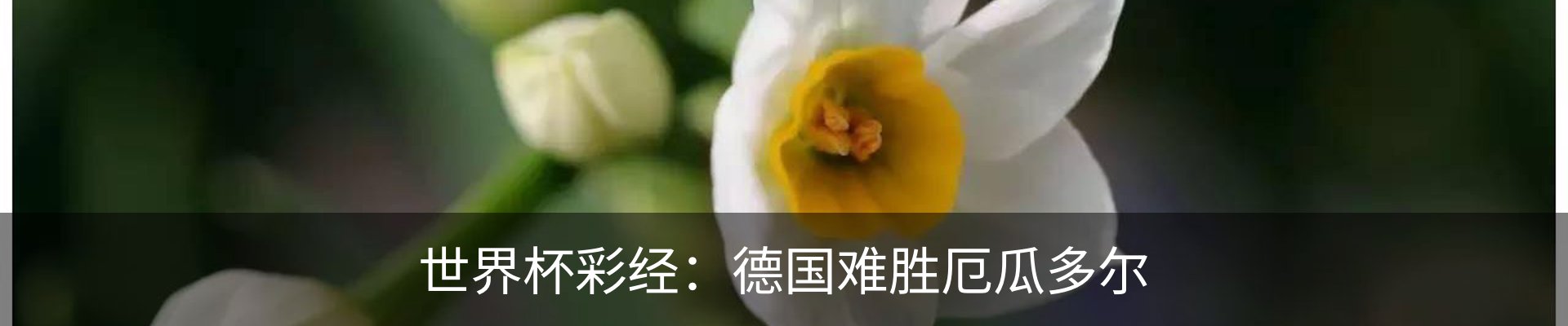 内页banner